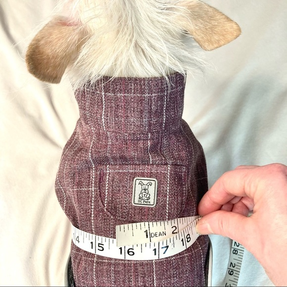 Raincoat with warm lining for small-size dog - Picture 5 of 12